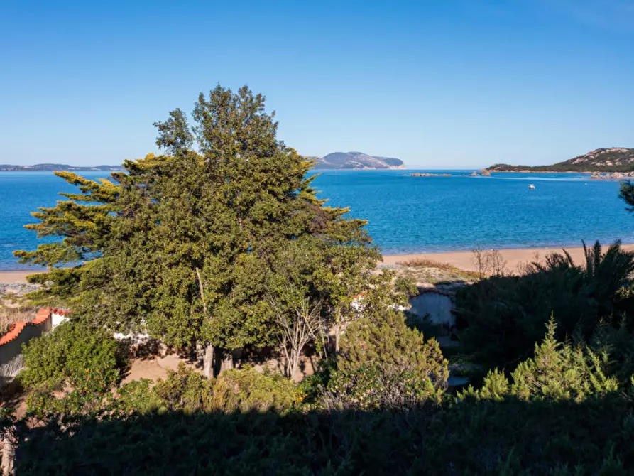 Immagine 16 di Villa in vendita  a Olbia