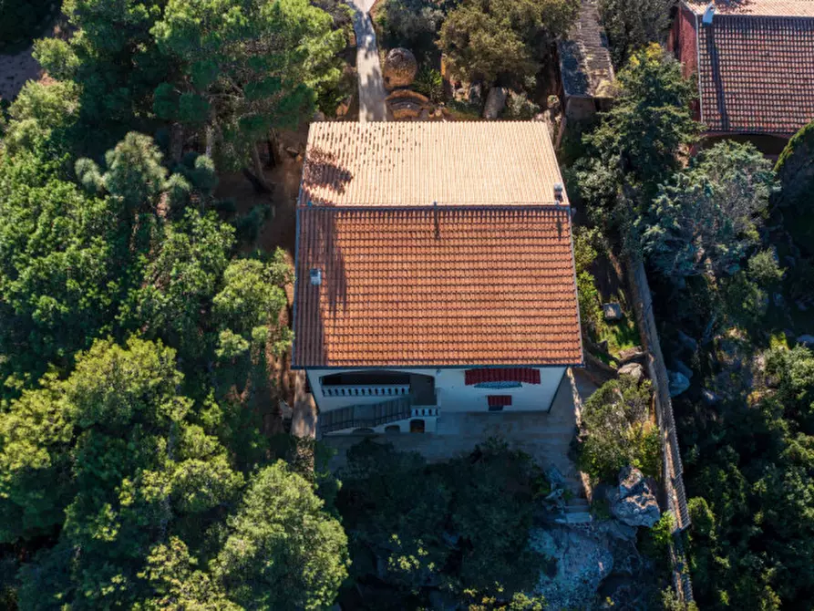 Immagine 17 di Villa in vendita  a Olbia