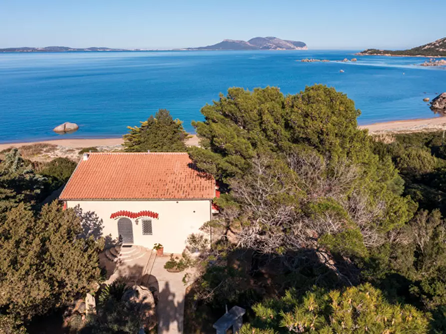 Immagine 19 di Villa in vendita  a Olbia