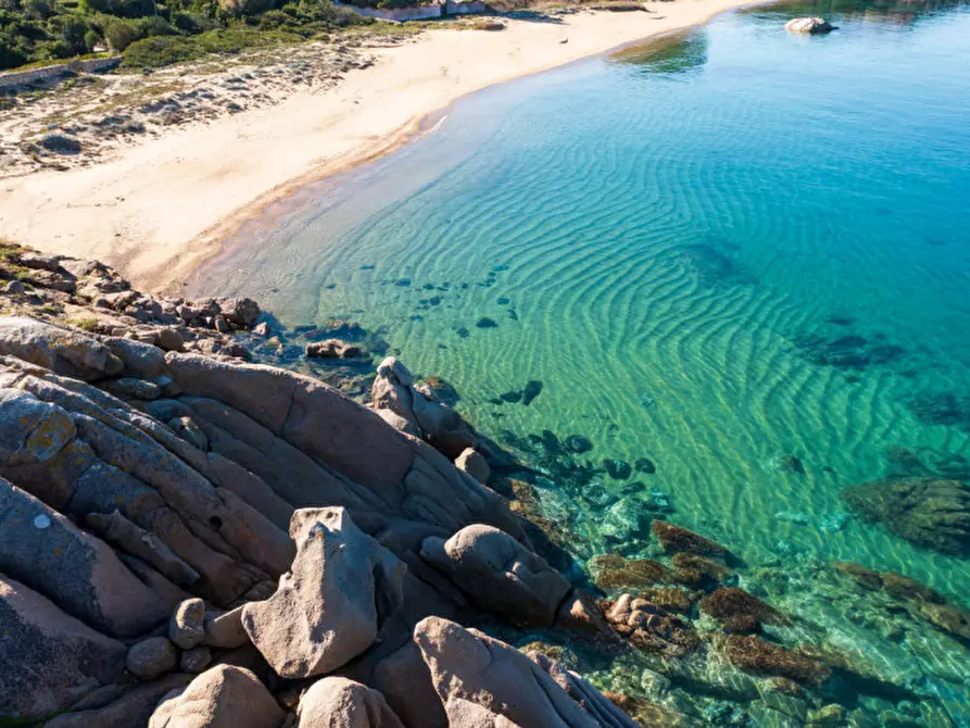 Immagine 24 di Villa in vendita  a Olbia