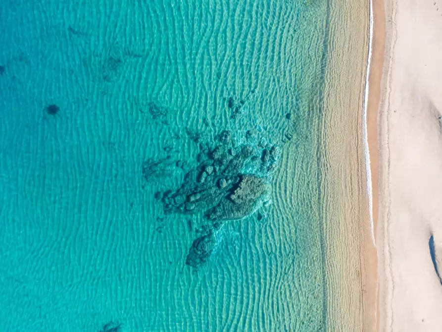 Immagine 26 di Villa in vendita  a Olbia