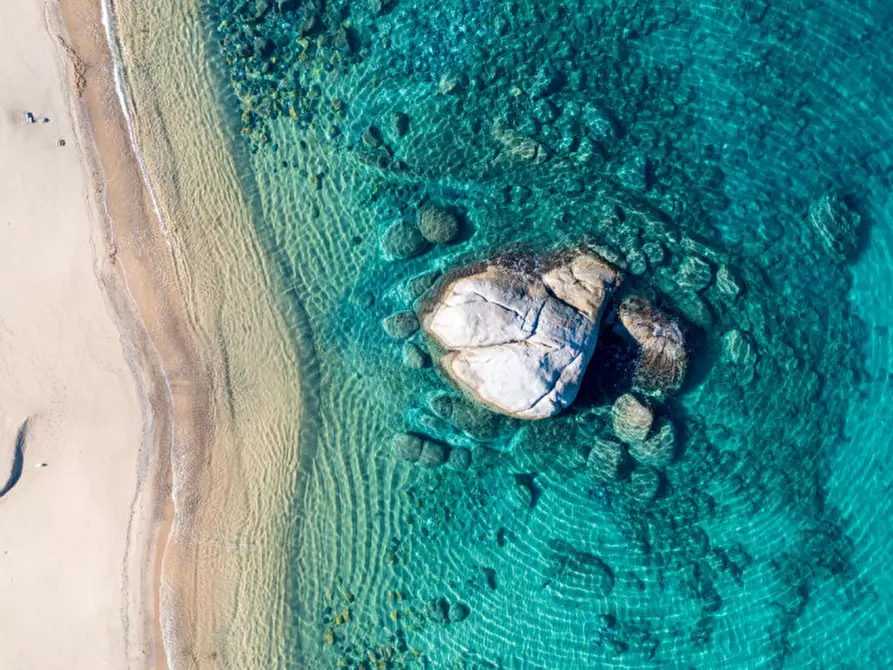 Immagine 27 di Villa in vendita  a Olbia