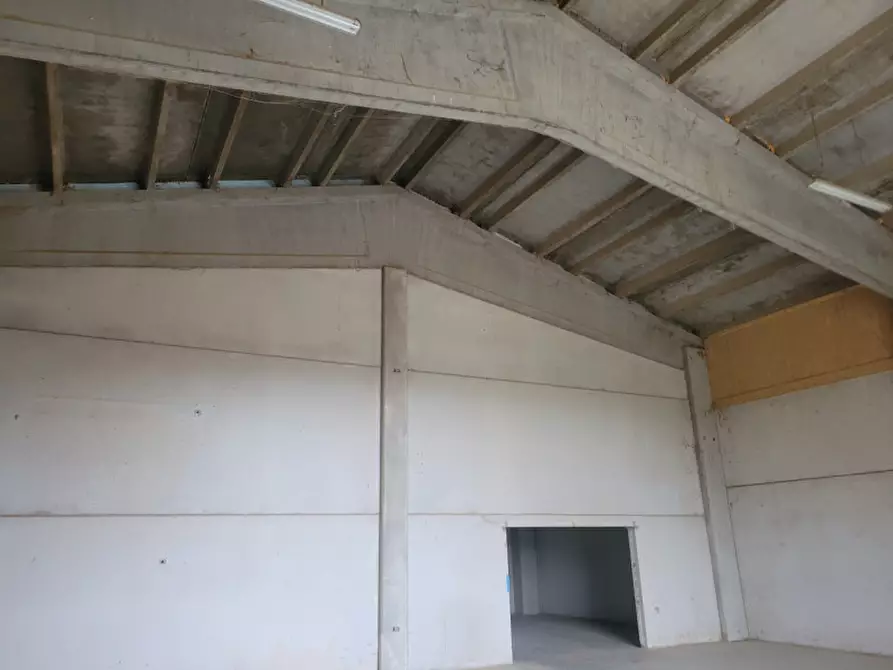 Immagine 1 di Capannone industriale in affitto  a Castelnuovo Rangone