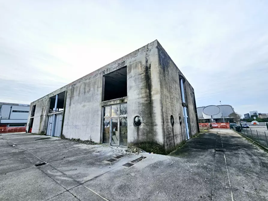 Immagine 8 di Capannone industriale in vendita  in VIA DEL MERCANTE a Rovigo