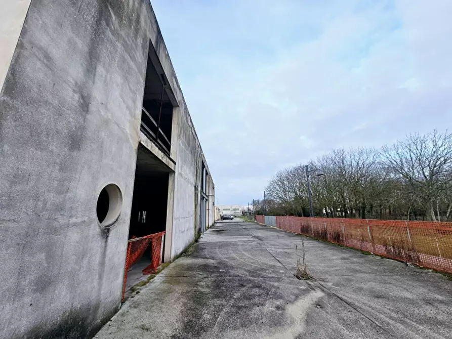 Immagine 10 di Capannone industriale in vendita  in VIA DEL MERCANTE a Rovigo