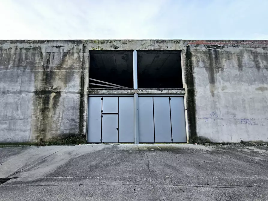 Immagine 12 di Capannone industriale in vendita  in VIA DEL MERCANTE a Rovigo
