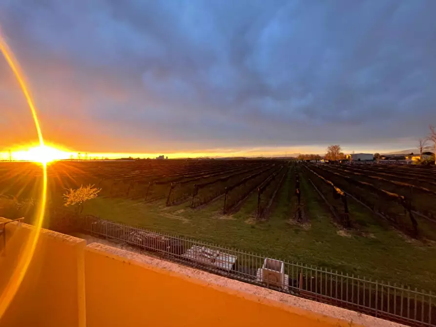 Immagine 14 di Appartamento in vendita  a Valeggio Sul Mincio