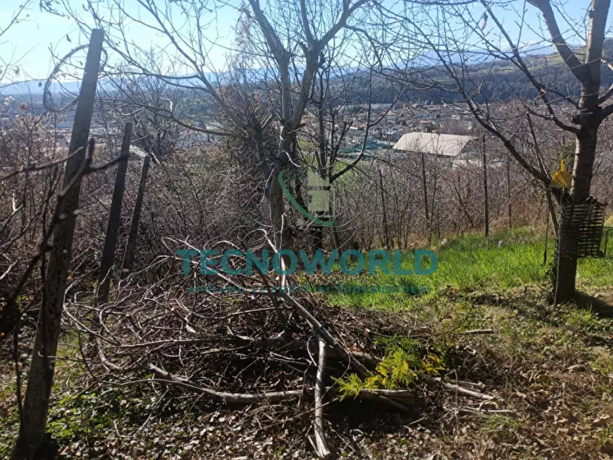 Immagine 3 di Terreno in vendita  in Via Peronia a Lugo Di Vicenza