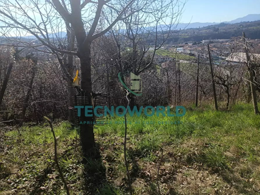 Immagine 4 di Terreno in vendita  in Via Peronia a Lugo Di Vicenza