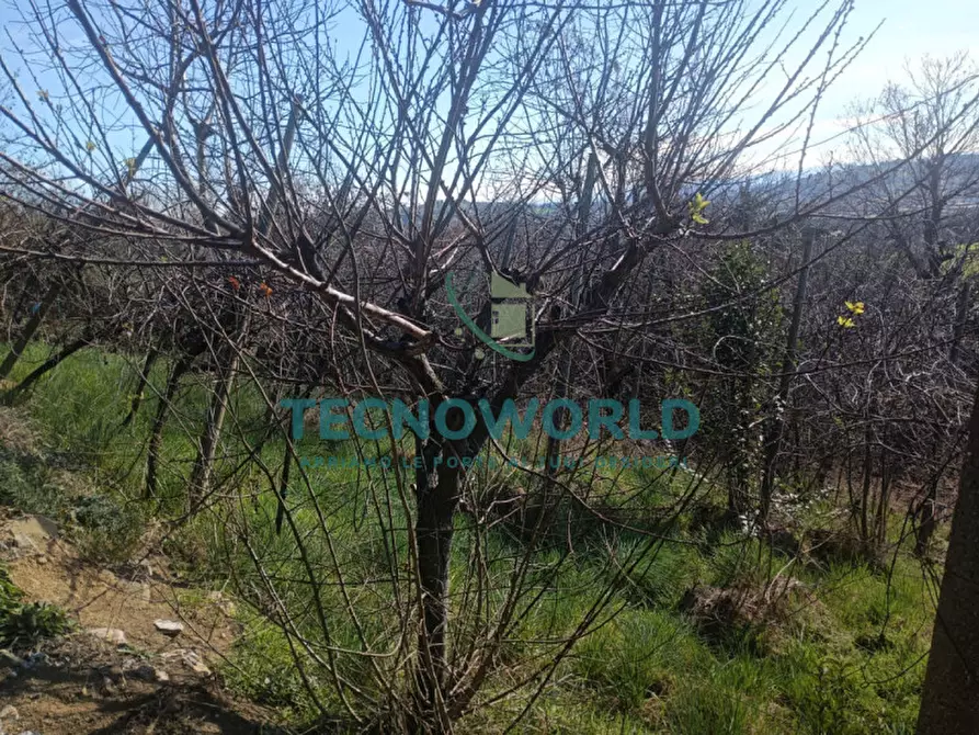 Immagine 9 di Terreno in vendita  in Via Peronia a Lugo Di Vicenza