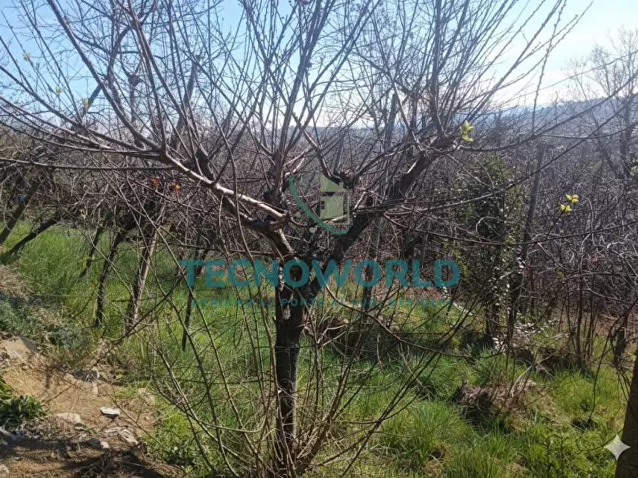 Immagine 21 di Terreno in vendita  in Via Peronia a Lugo Di Vicenza