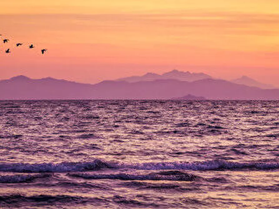 Immagine 16 di Appartamento in vendita  in Via Serri, 48 a Follonica