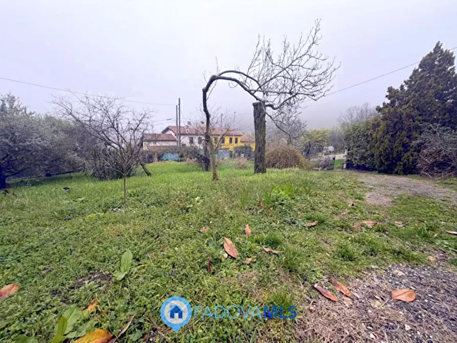 Immagine 5 di Casa bifamiliare in vendita  in Via Regazzoni Bassa a Galzignano Terme