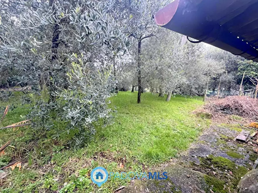 Immagine 5 di Casa bifamiliare in vendita  in Via Regazzoni Bassa a Galzignano Terme