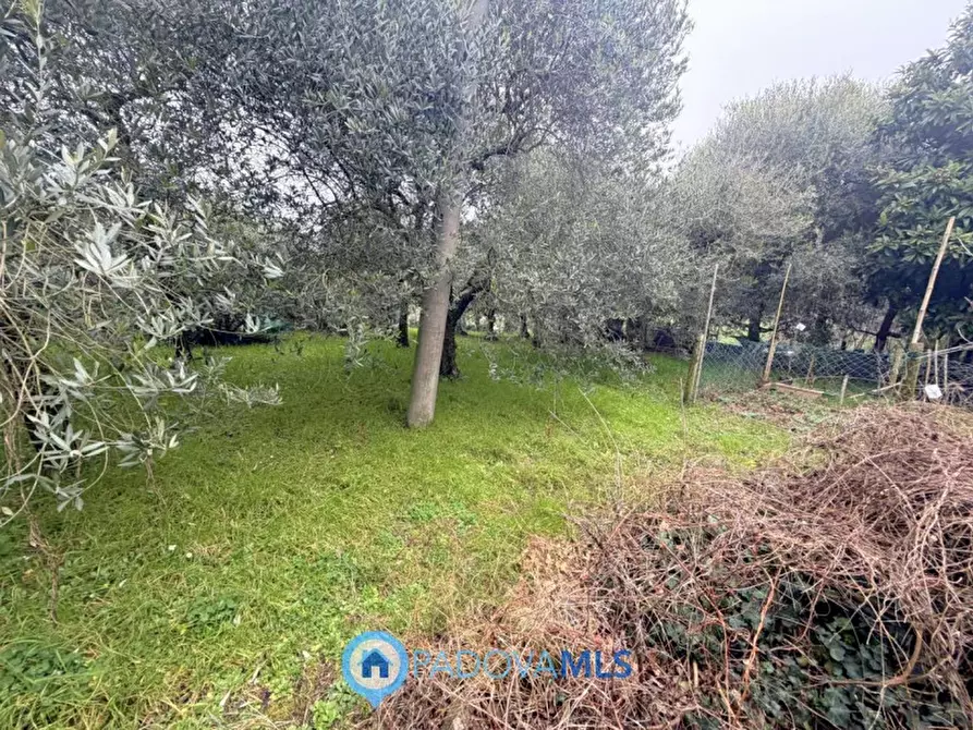 Immagine 7 di Casa bifamiliare in vendita  in Via Regazzoni Bassa a Galzignano Terme