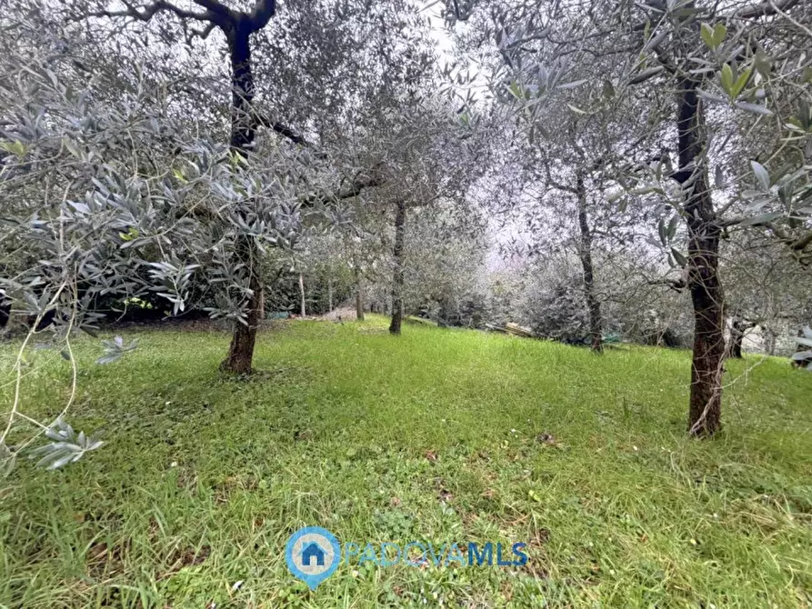 Immagine 8 di Casa bifamiliare in vendita  in Via Regazzoni Bassa a Galzignano Terme