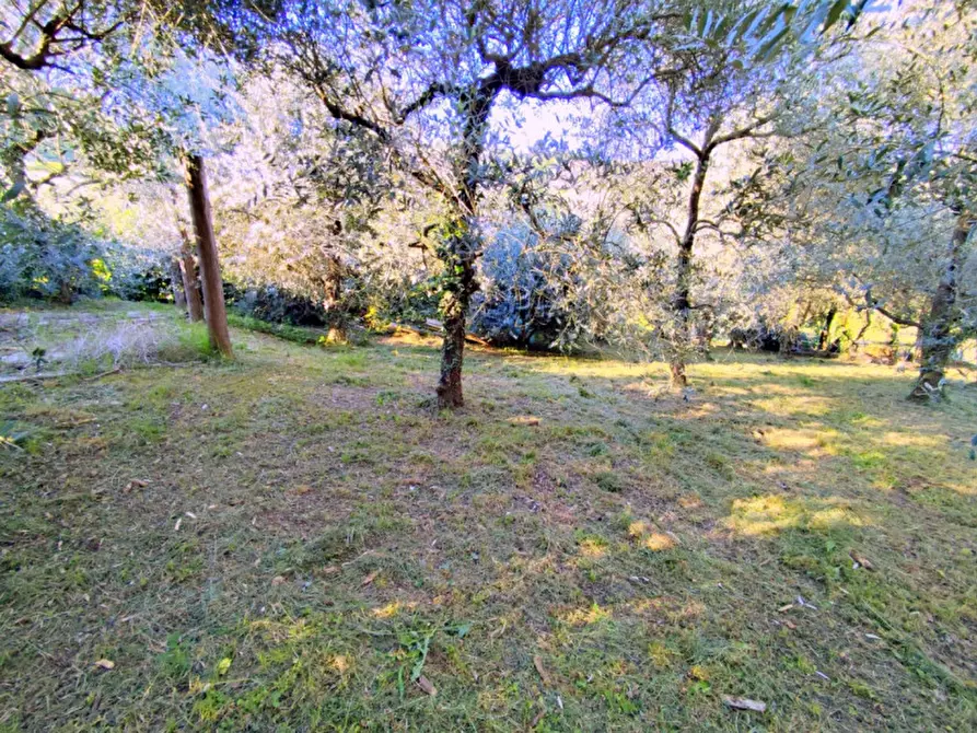 Immagine 45 di Casa bifamiliare in vendita  in Via Regazzoni Bassa a Galzignano Terme