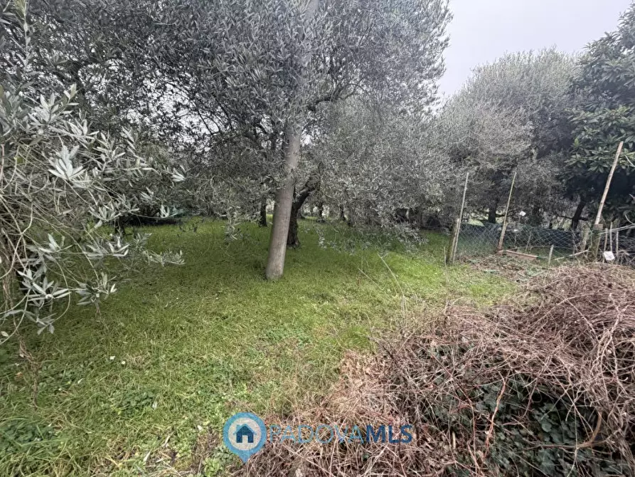 Immagine 20 di Casa bifamiliare in vendita  in Via Regazzoni Alta, 6 a Galzignano Terme