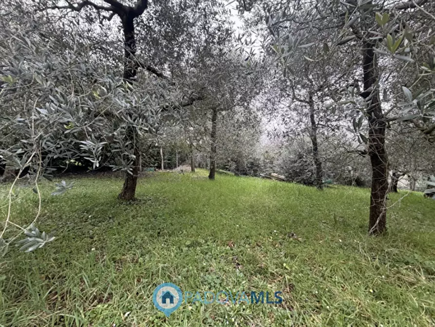 Immagine 21 di Casa bifamiliare in vendita  in Via Regazzoni Alta, 6 a Galzignano Terme