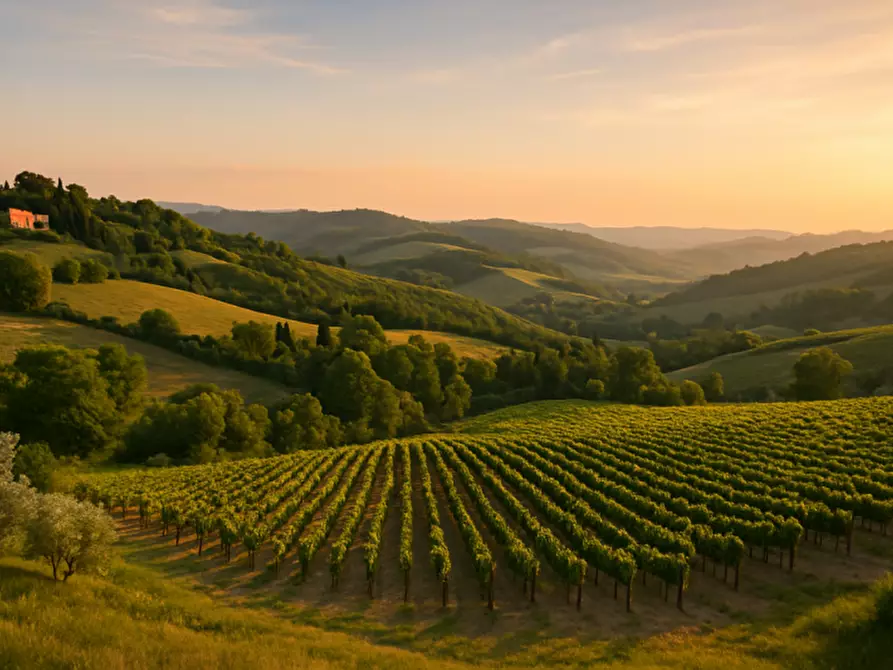 Immagine 2 di Villa in vendita  in Via Rosa a Casalecchio Di Reno