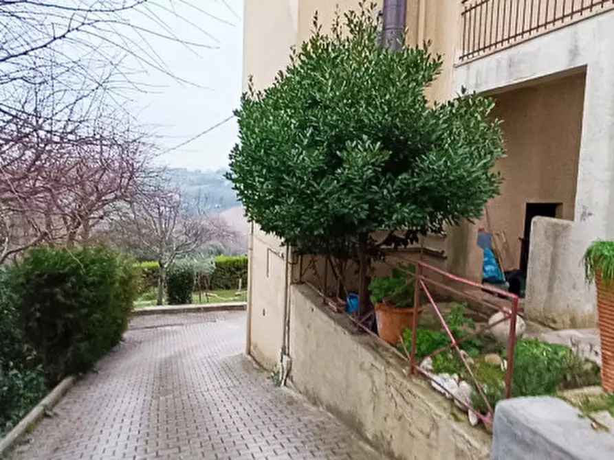 Immagine 9 di Appartamento in vendita  in Contrada Pace a Macerata
