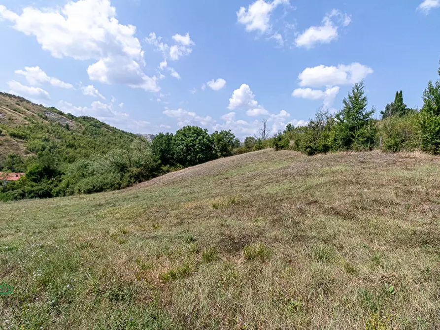 Immagine 56 di Villa in vendita  in via degli spicchi 14 a Ozzano Dell'emilia