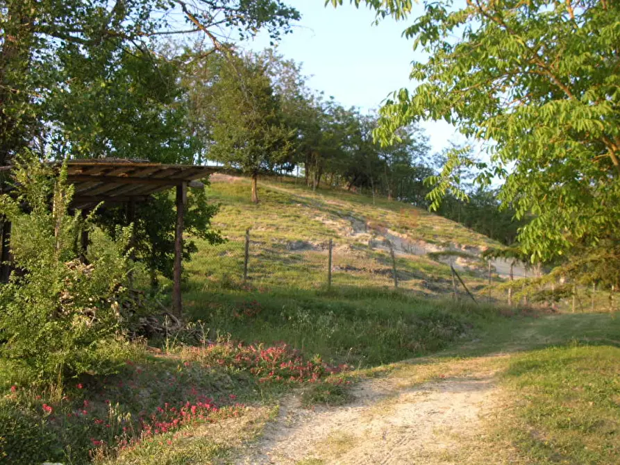 Immagine 62 di Villa in vendita  in via degli spicchi 14 a Ozzano Dell'emilia