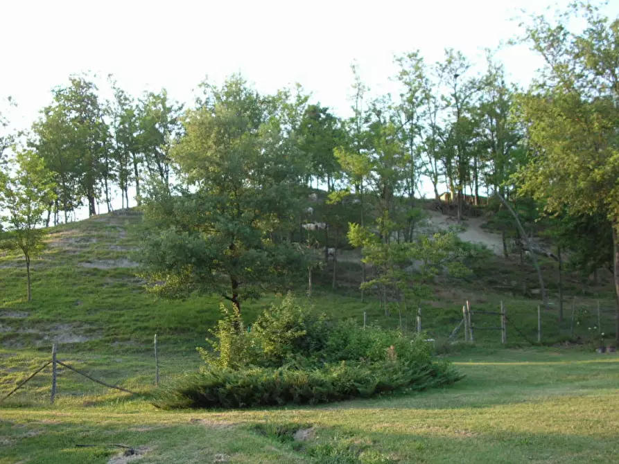 Immagine 63 di Villa in vendita  in via degli spicchi 14 a Ozzano Dell'emilia
