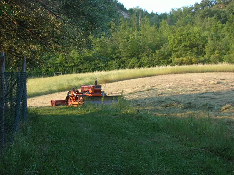 Immagine 65 di Villa in vendita  in via degli spicchi 14 a Ozzano Dell'emilia