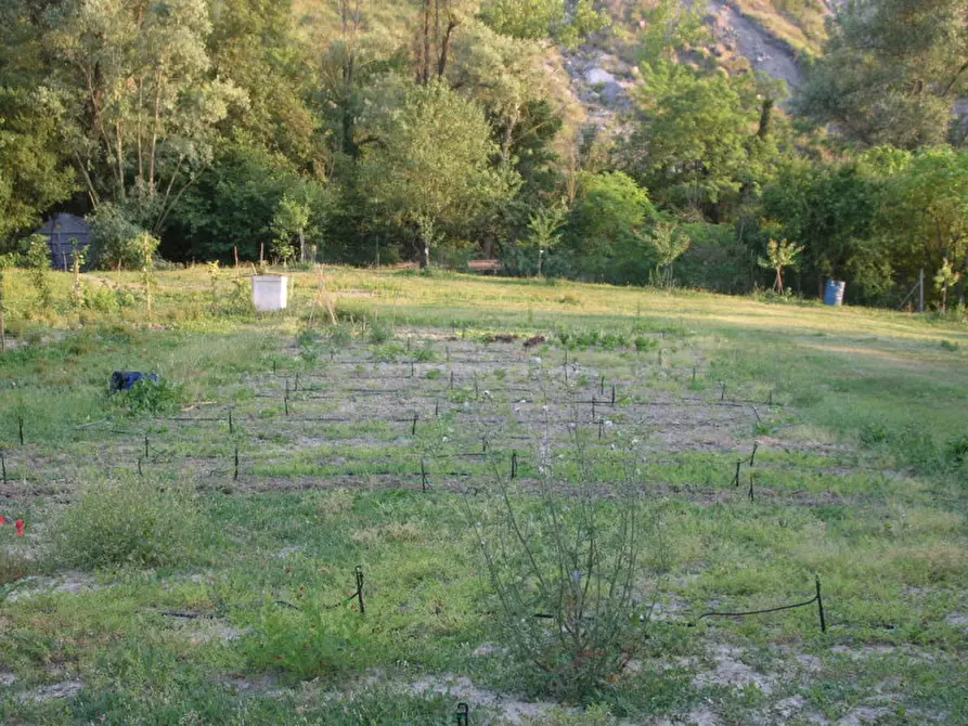 Immagine 67 di Villa in vendita  in via degli spicchi 14 a Ozzano Dell'emilia