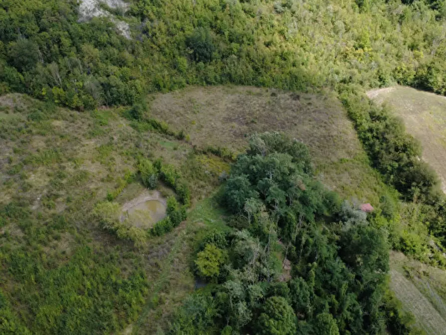 Immagine 68 di Villa in vendita  in via degli spicchi 14 a Ozzano Dell'emilia