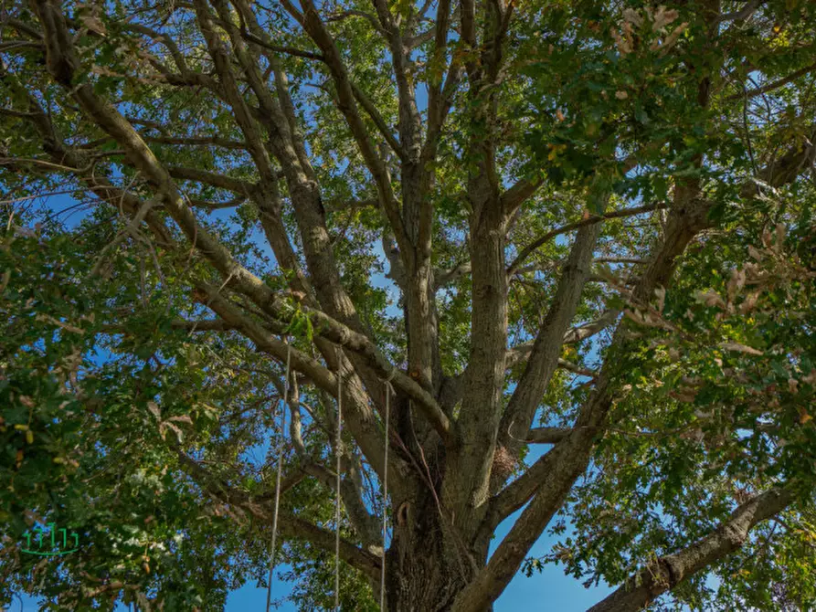 Immagine 54 di Casa indipendente in vendita  in via cadriano 33 a Bologna