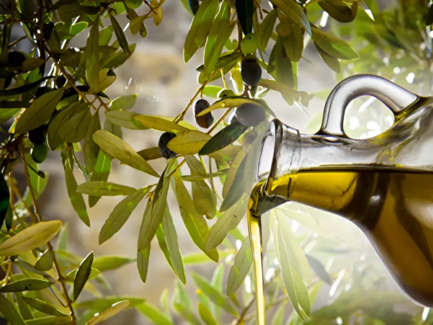 Immagine 2 di Terreno in vendita  a Castellaro