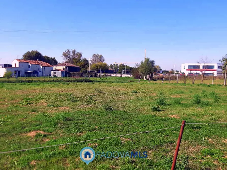 Immagine 3 di Casa indipendente in vendita  in Via Pozzonovo a Monselice