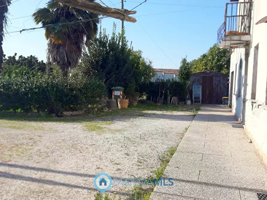 Immagine 5 di Casa indipendente in vendita  in Via Pozzonovo a Monselice