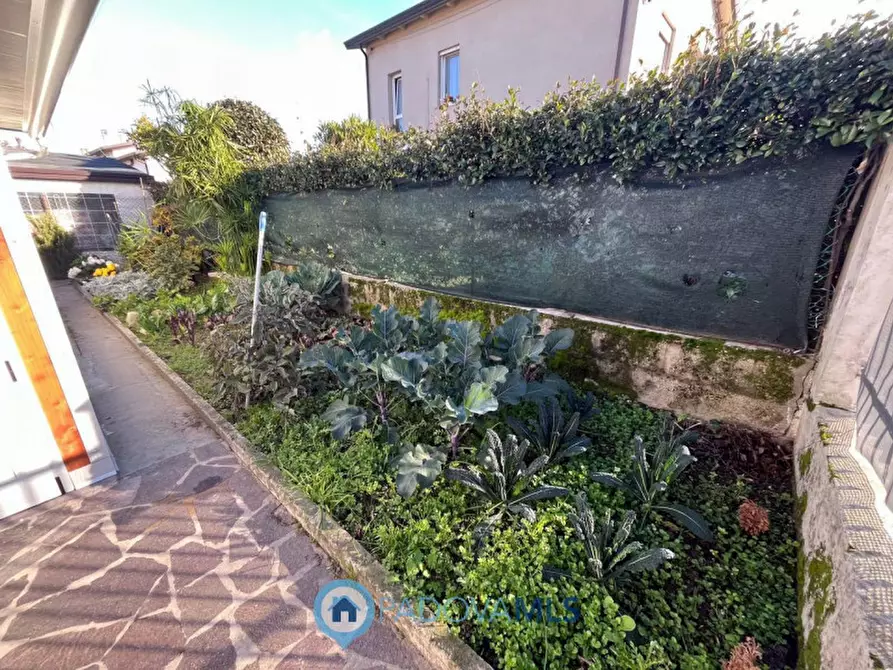 Immagine 15 di Appartamento in vendita  in Via Padova a Albignasego