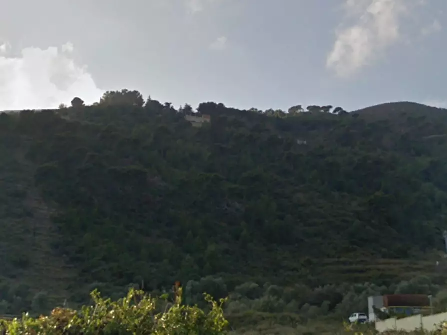 Immagine 3 di Palazzo in vendita  in Comuni di: San Lorenzo al Mare, Sanremo, Taggia, Ventimiglia, Bordighera, Cervo, Cipressa, Imperia, Riva Ligure, San Bartolomeo Al Mare, Santo Stefano al Mare, Pietra Ligure a Taggia