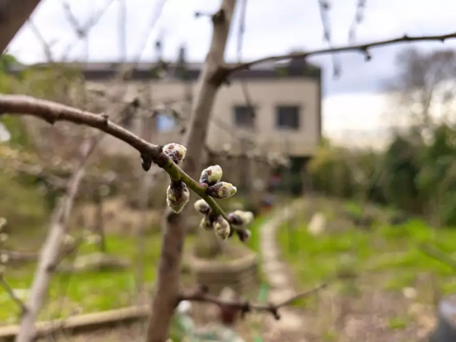 Immagine 29 di Casa bifamiliare in vendita  in Via caselle ad.ze a San Lazzaro Di Savena