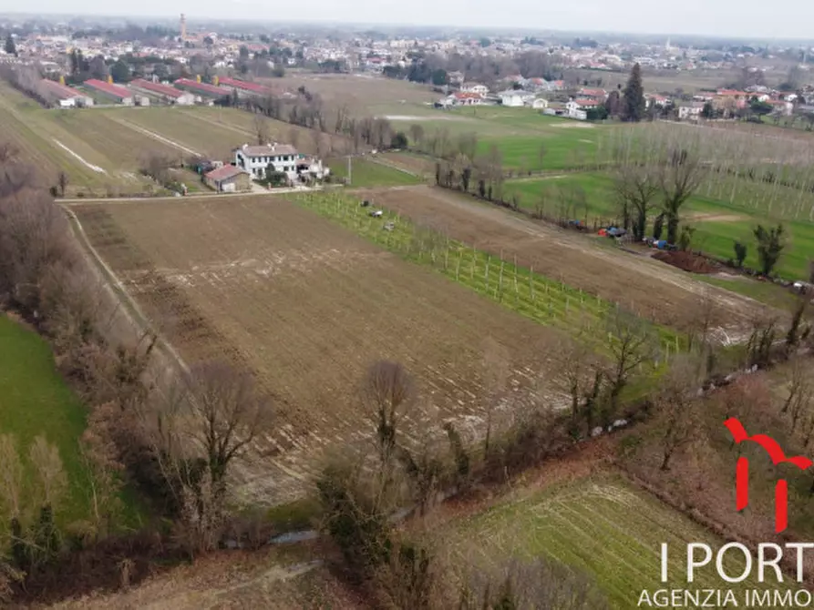 Immagine 4 di Terreno in vendita  in Via San Paolo a Scorzè