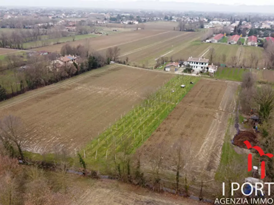 Immagine 6 di Terreno in vendita  in Via San Paolo a Scorzè