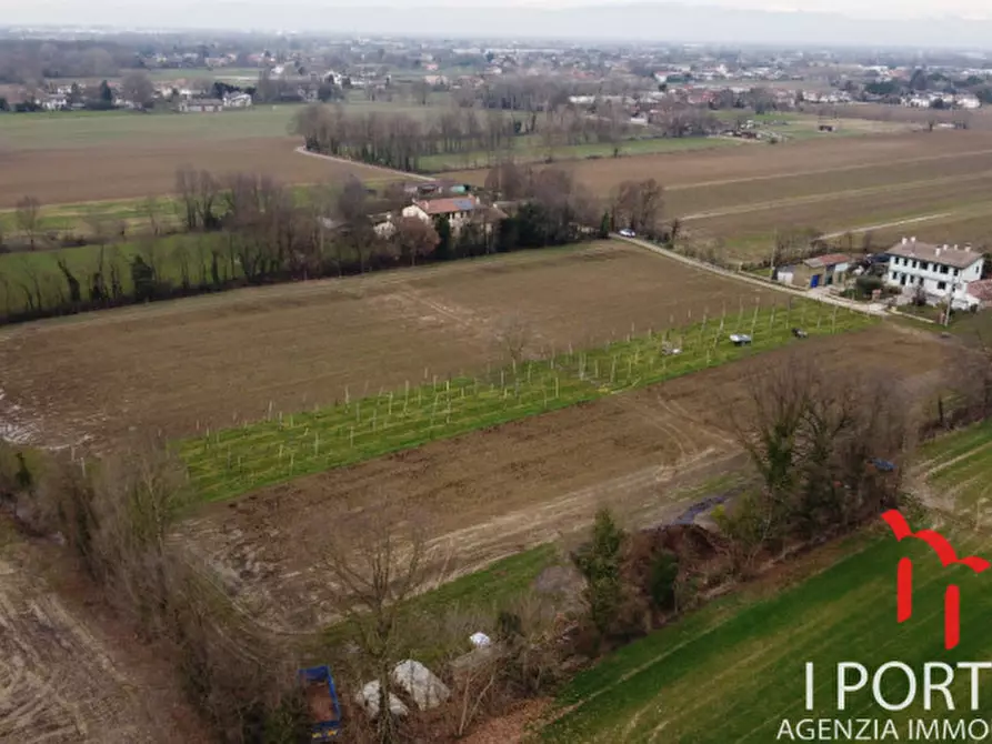 Immagine 7 di Terreno in vendita  in Via San Paolo a Scorzè