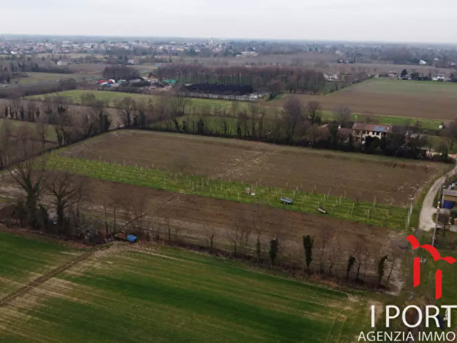 Immagine 9 di Terreno in vendita  in Via San Paolo a Scorzè