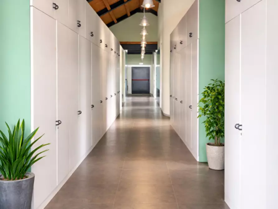 Immagine 4 di Ufficio in affitto  in Via vecchia Ferriera a Vicenza