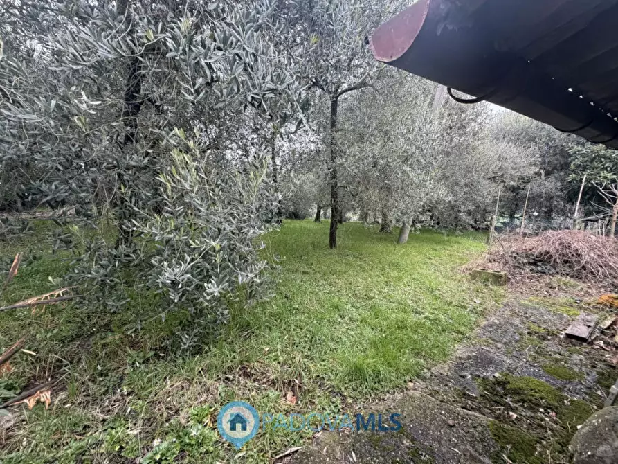 Immagine 5 di Casa bifamiliare in vendita  in Via Regazzoni Alta a Galzignano Terme