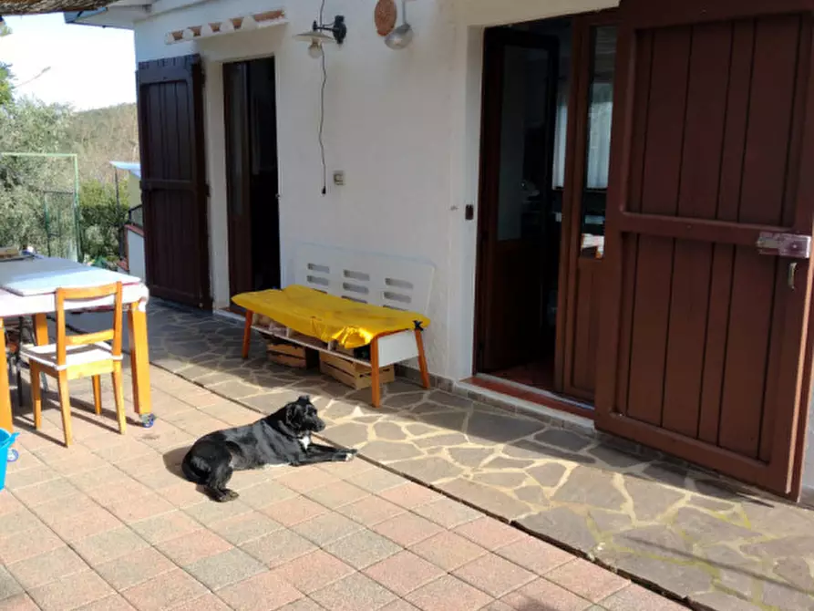 Immagine 2 di Casa indipendente in vendita  in Localita Castelluccio, 120 a San Vincenzo