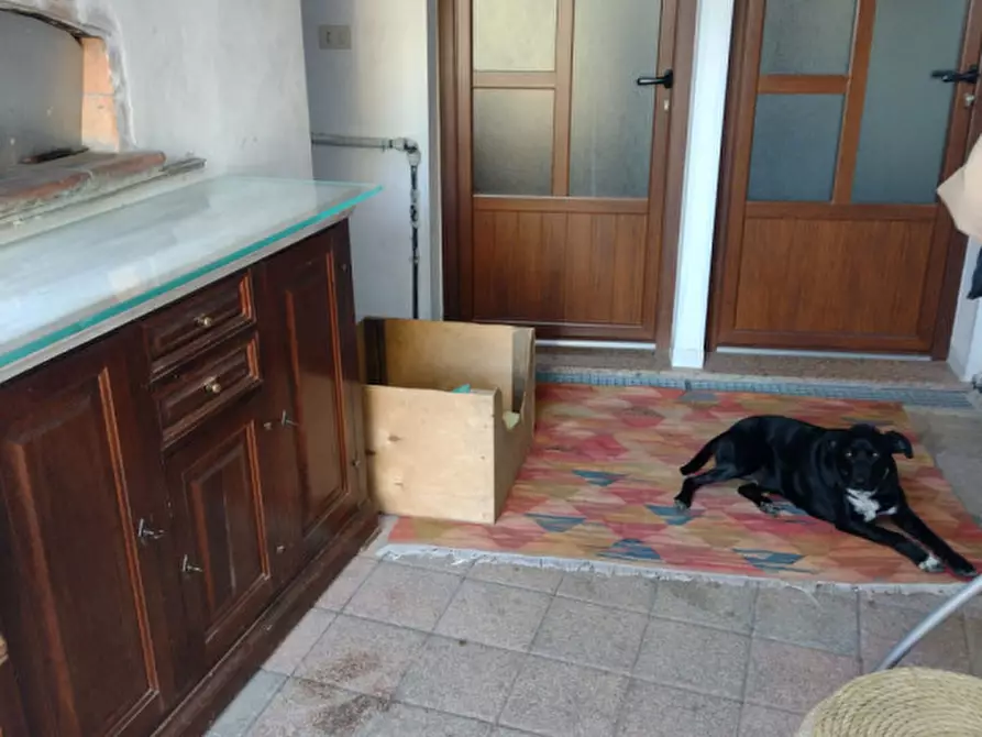 Immagine 13 di Casa indipendente in vendita  in Localita Castelluccio, 120 a San Vincenzo