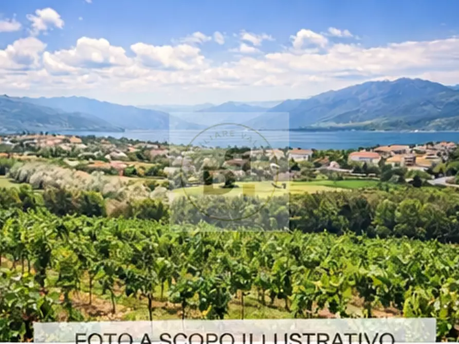 Immagine 5 di Appartamento in affitto  in crociale a Manerba Del Garda