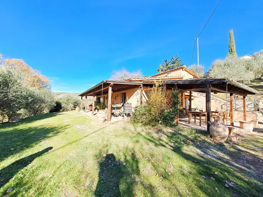 Immagine 24 di Rustico / casale in vendita  a Magione