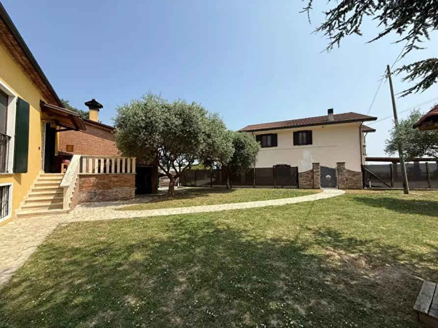 Immagine 3 di Rustico / casale in vendita  in Via Roma a Albettone