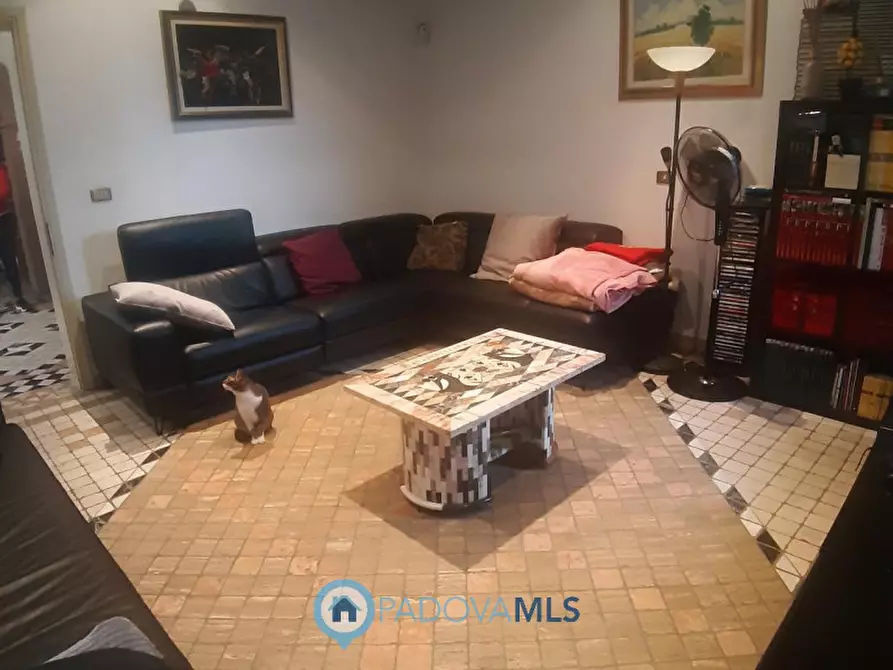 Immagine 15 di Casa indipendente in vendita  a Monselice